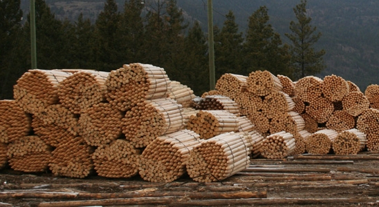 Aspen Planers Post and Rail (CIB Land Lease)